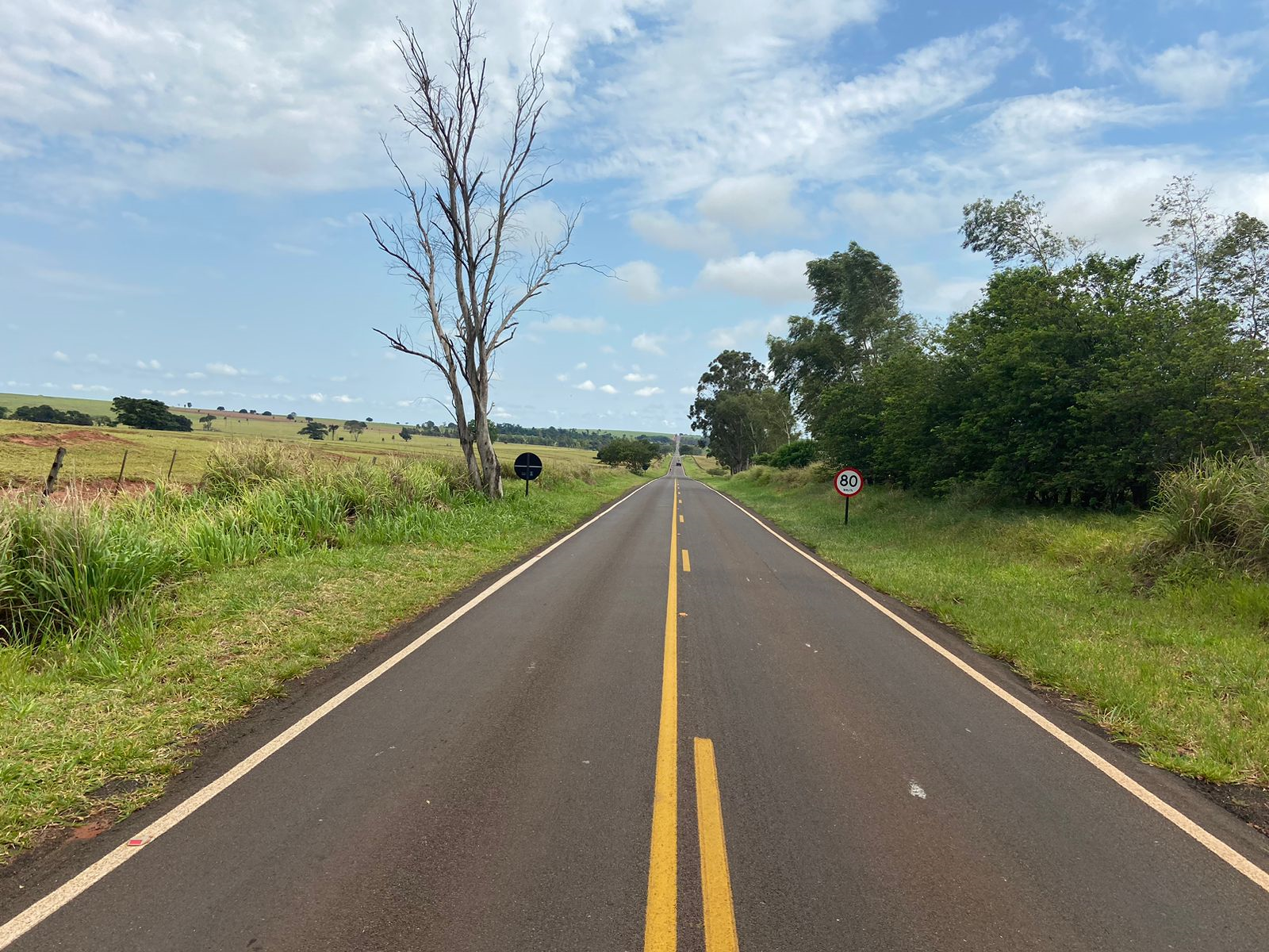PR-556 São João do Caiuá a Santo Antônio do Caiuá