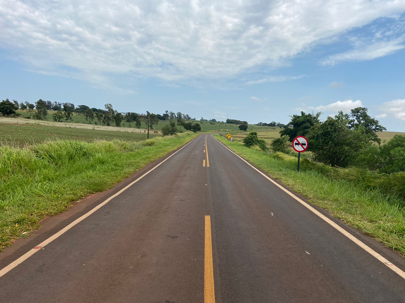 PR-556 São João do Caiuá a Santo Antônio do Caiuá