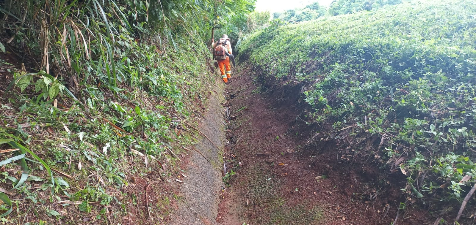 PR-444 Limpeza de sarjeta e capina manual