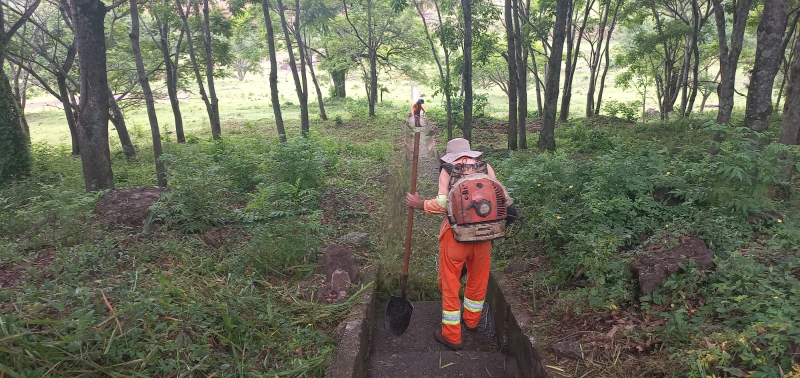 PR-444 Limpeza de sarjeta e capina manual