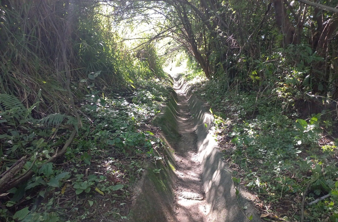 PR-444 Limpeza de sarjeta e capina manual