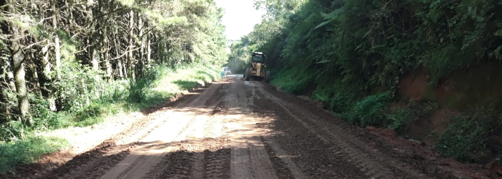 Serviços de conservação NPV PR-092 e PR-340