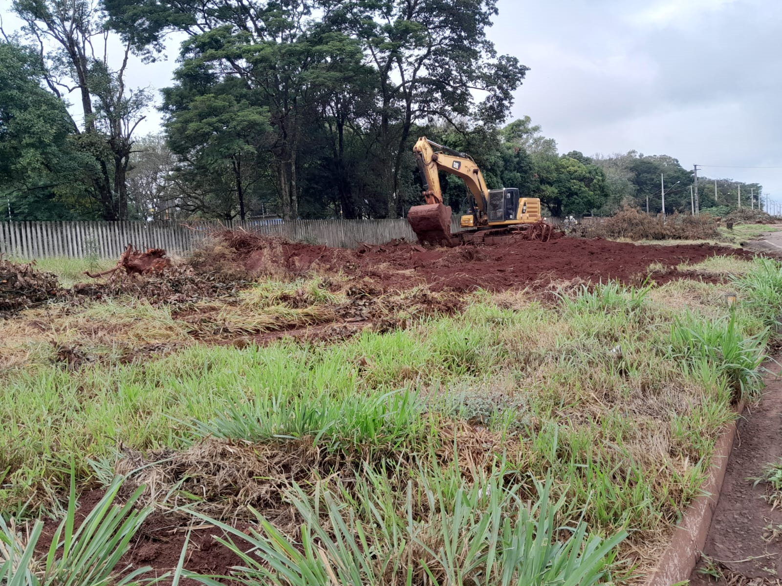 Duplicação em Campo Mourão - limpeza de camada vegetal