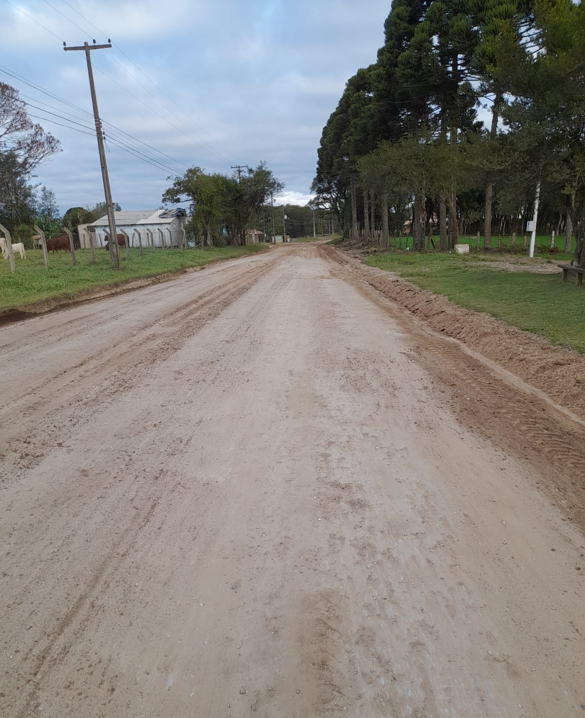 Trecho da PR-512 entre Balsa Nova e Mariental