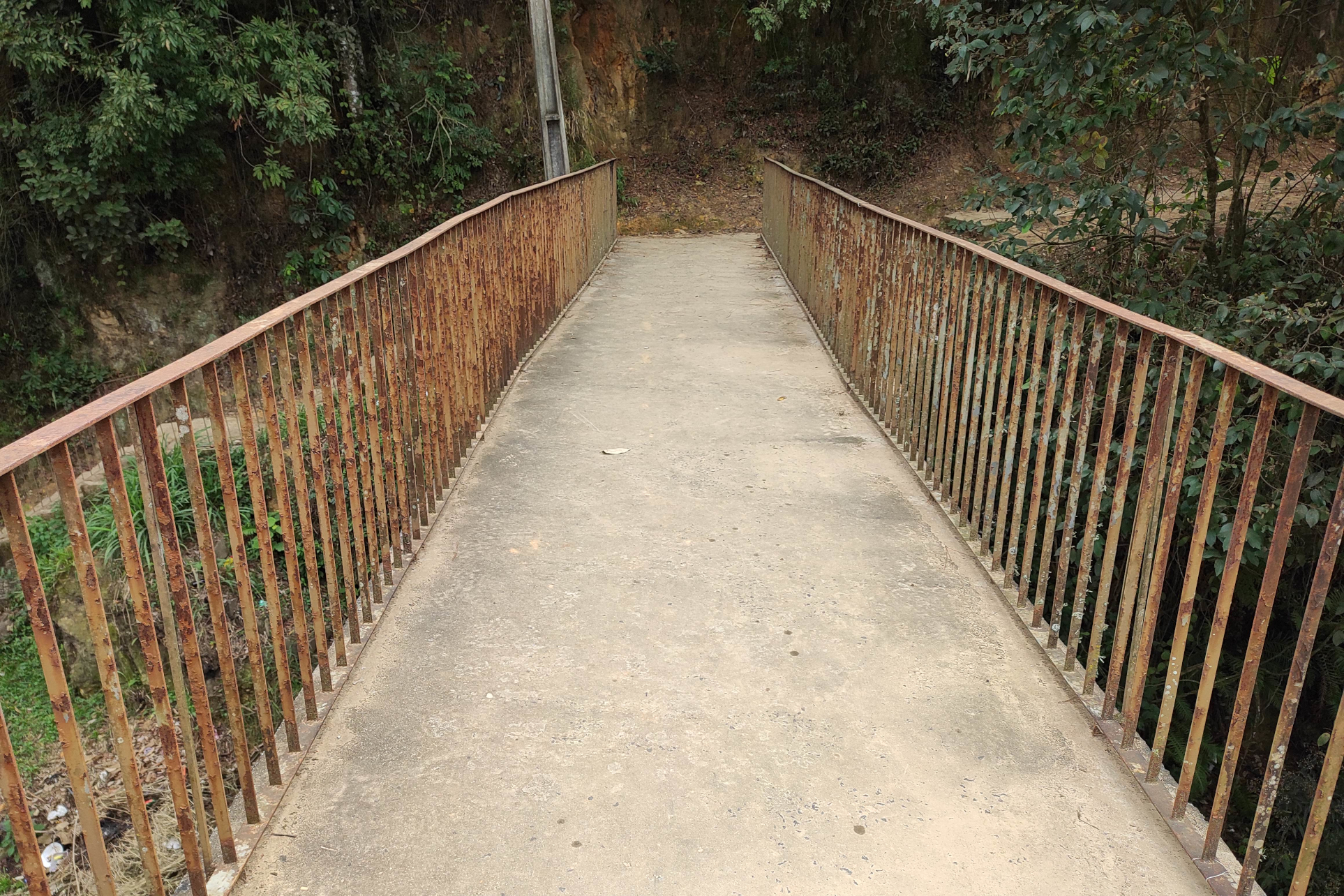 Passarela km 213,96 PR-160 em Telêmaco Borba