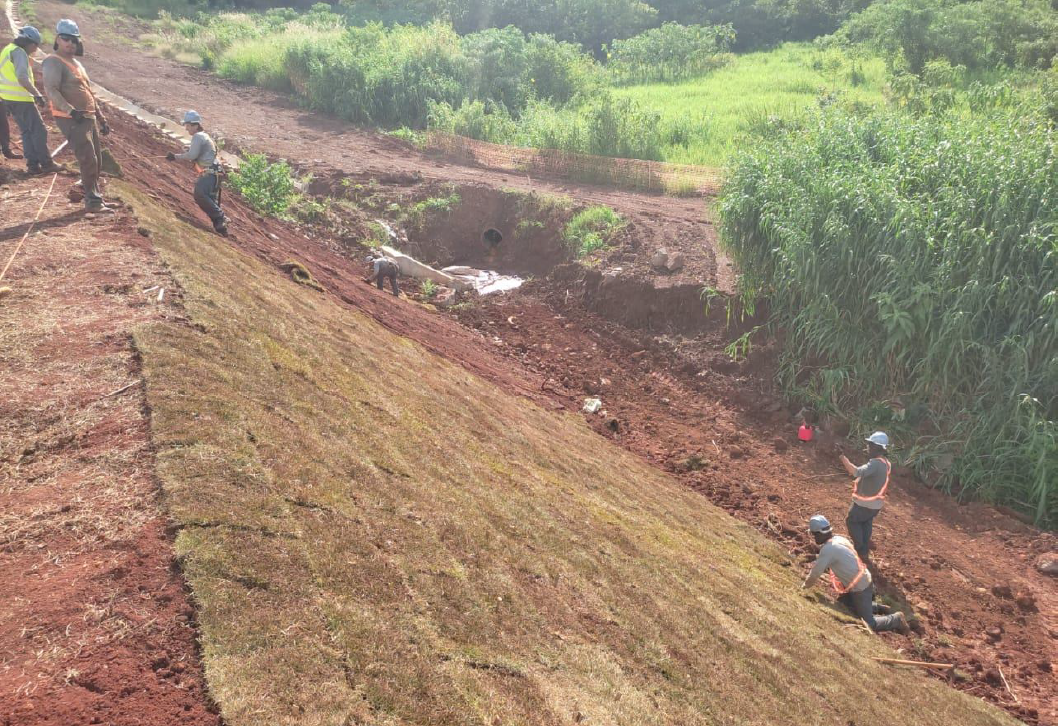 Contorno de Jandaia do Sul - enleivamento