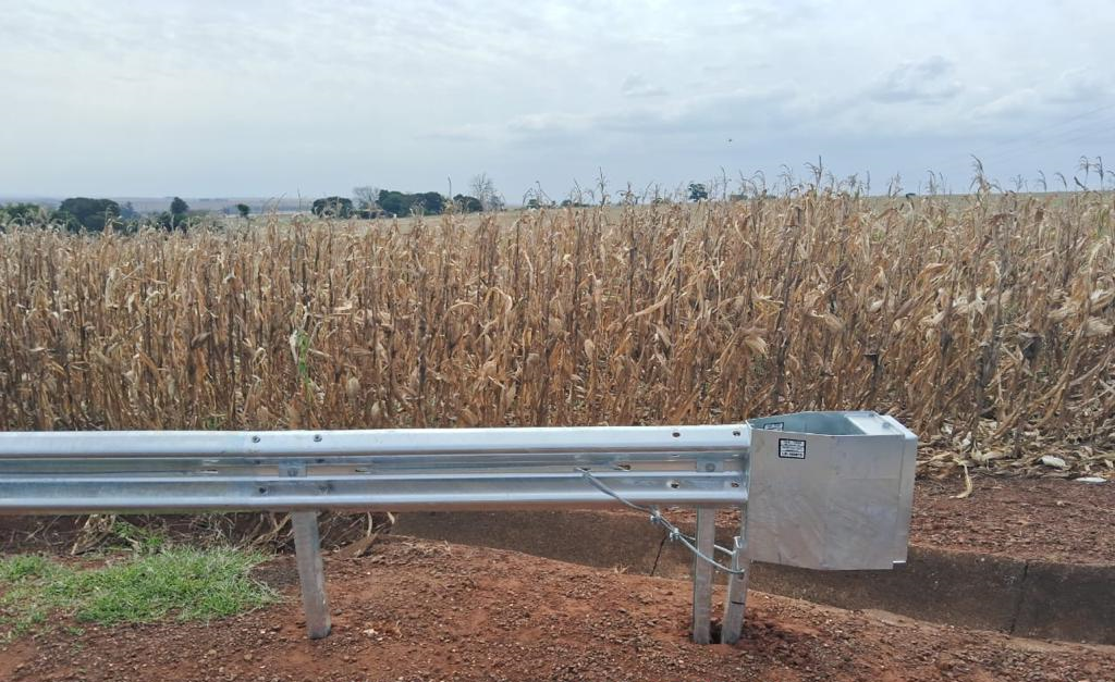 Obra de recuperação de pontos de erosão