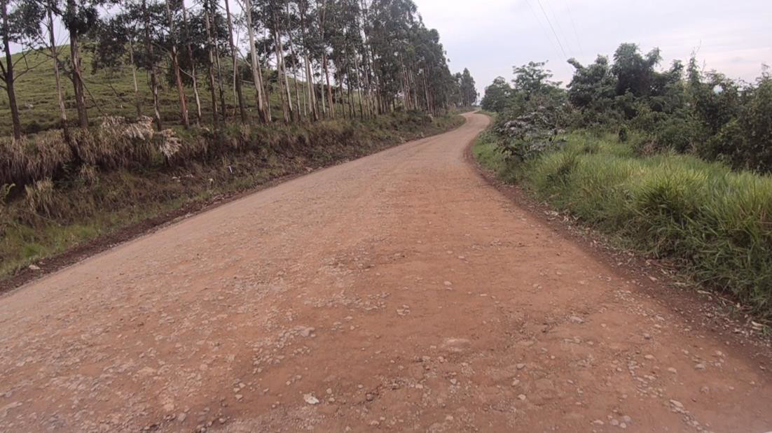 PR-239 entre Mato Rico e Roncador