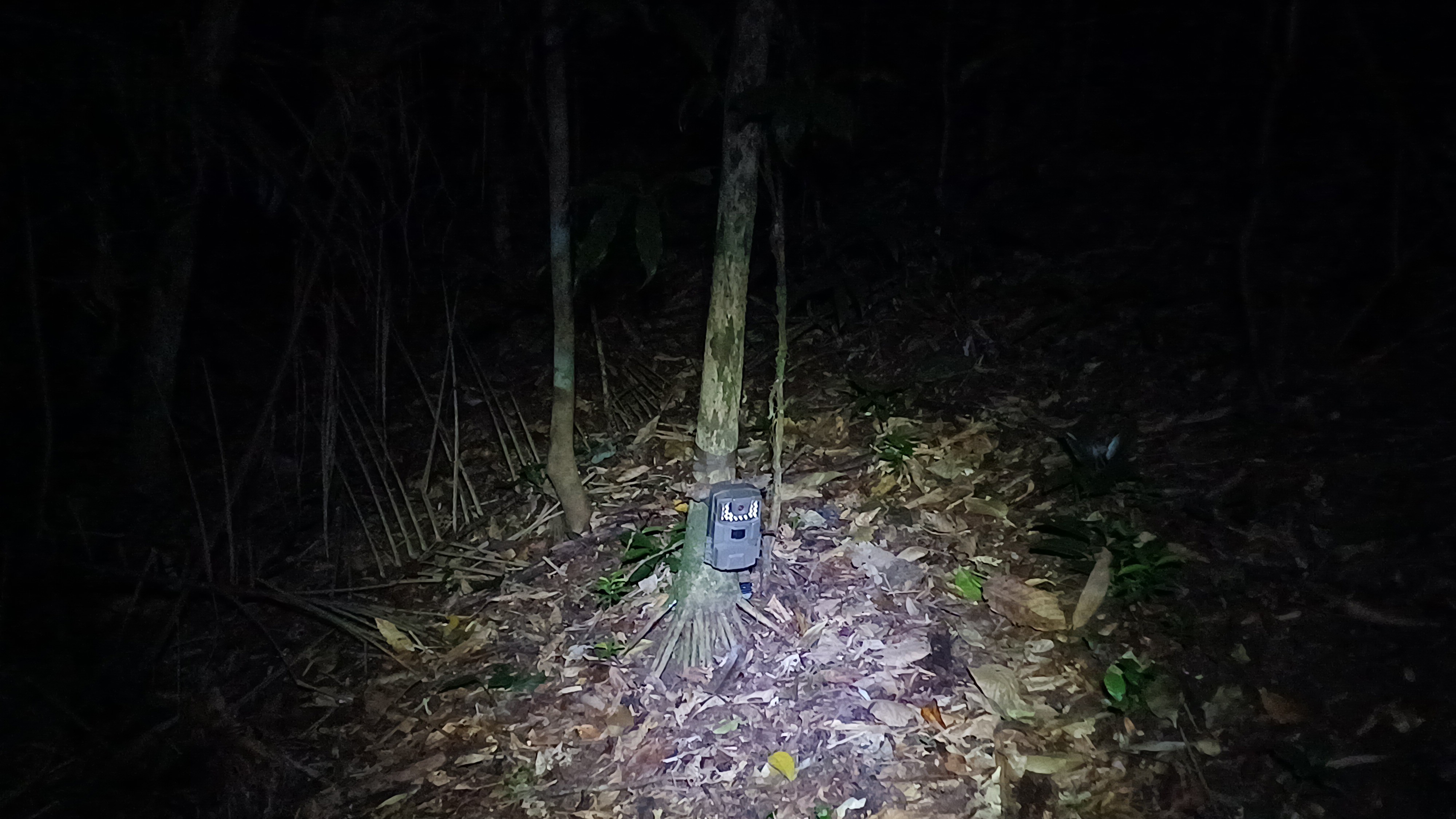 Câmera trap para monitoramento de mamíferos de médio e grande porte