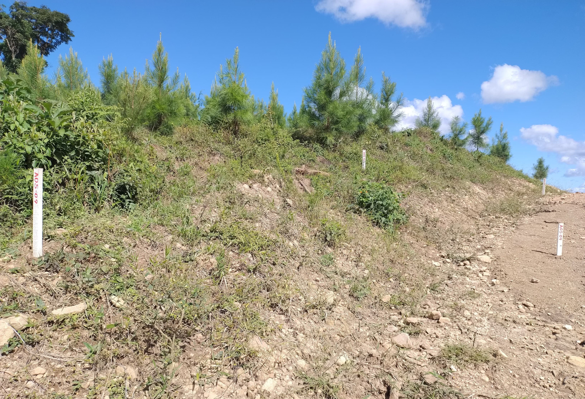 PR-092 em Doutor Ulysses, trecho que será pavimentado