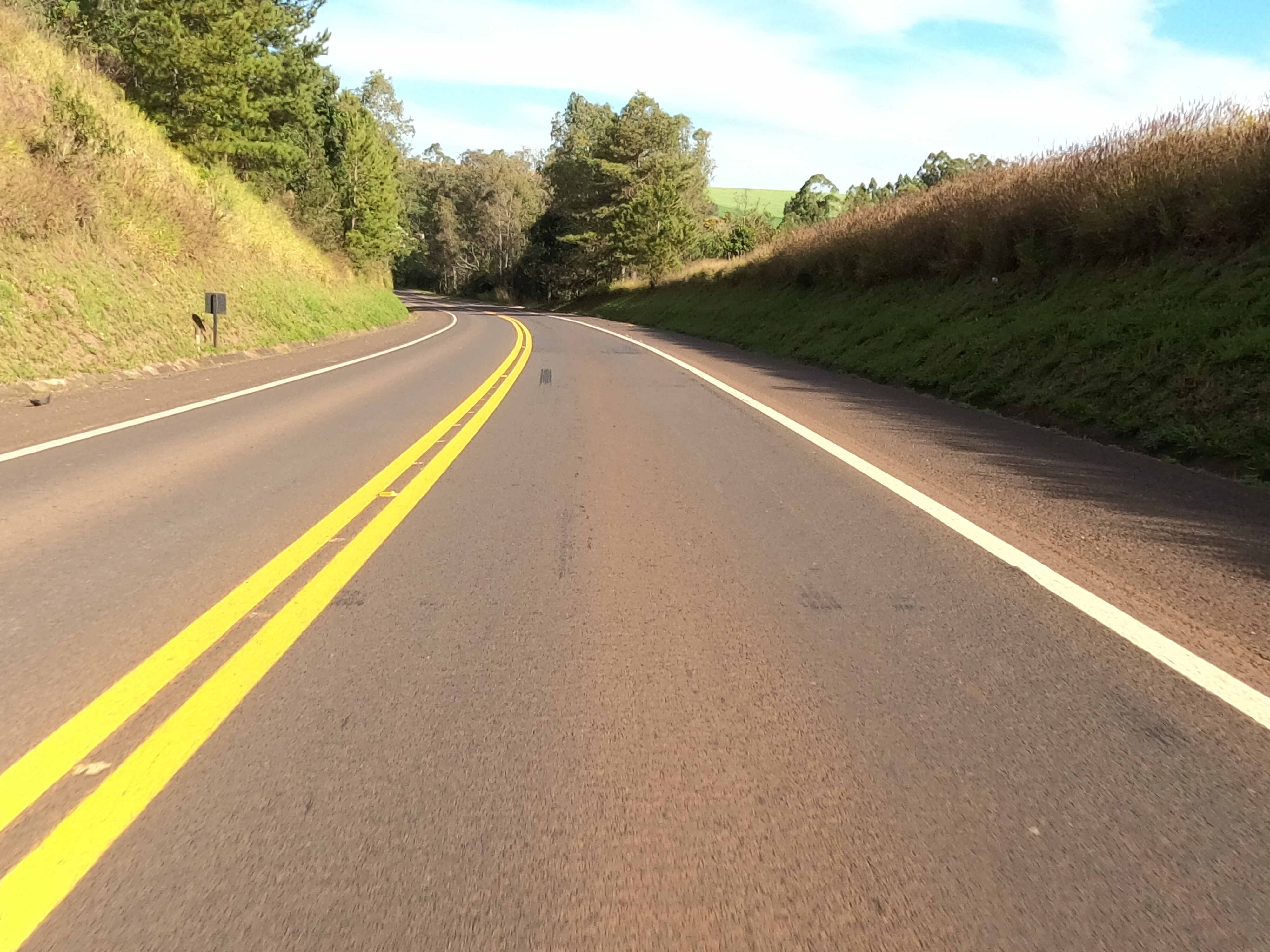 PRC-466 entre Porto Ubá e Furnas