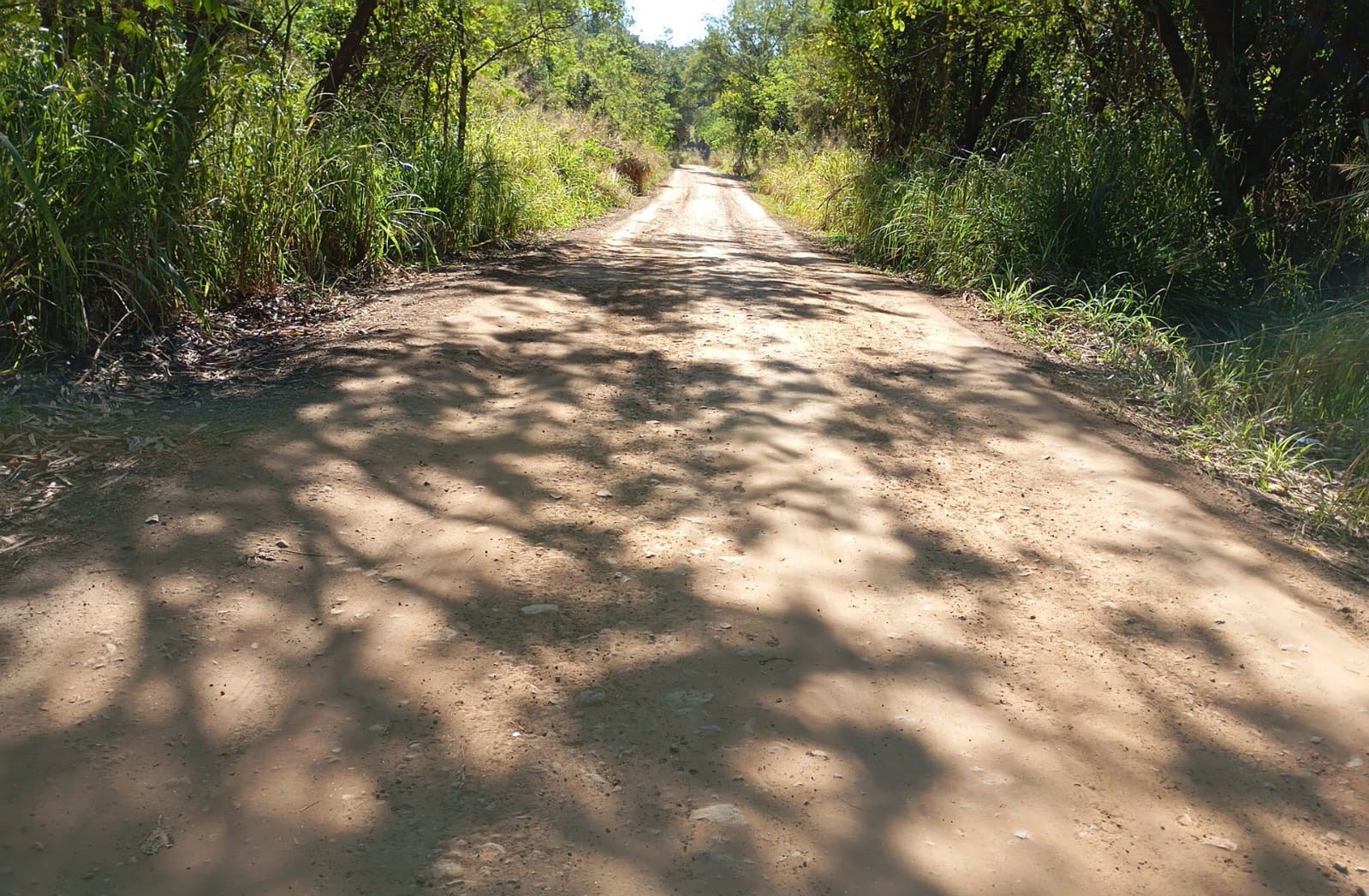 PR-462 entre Iretama e Barbosa Ferraz