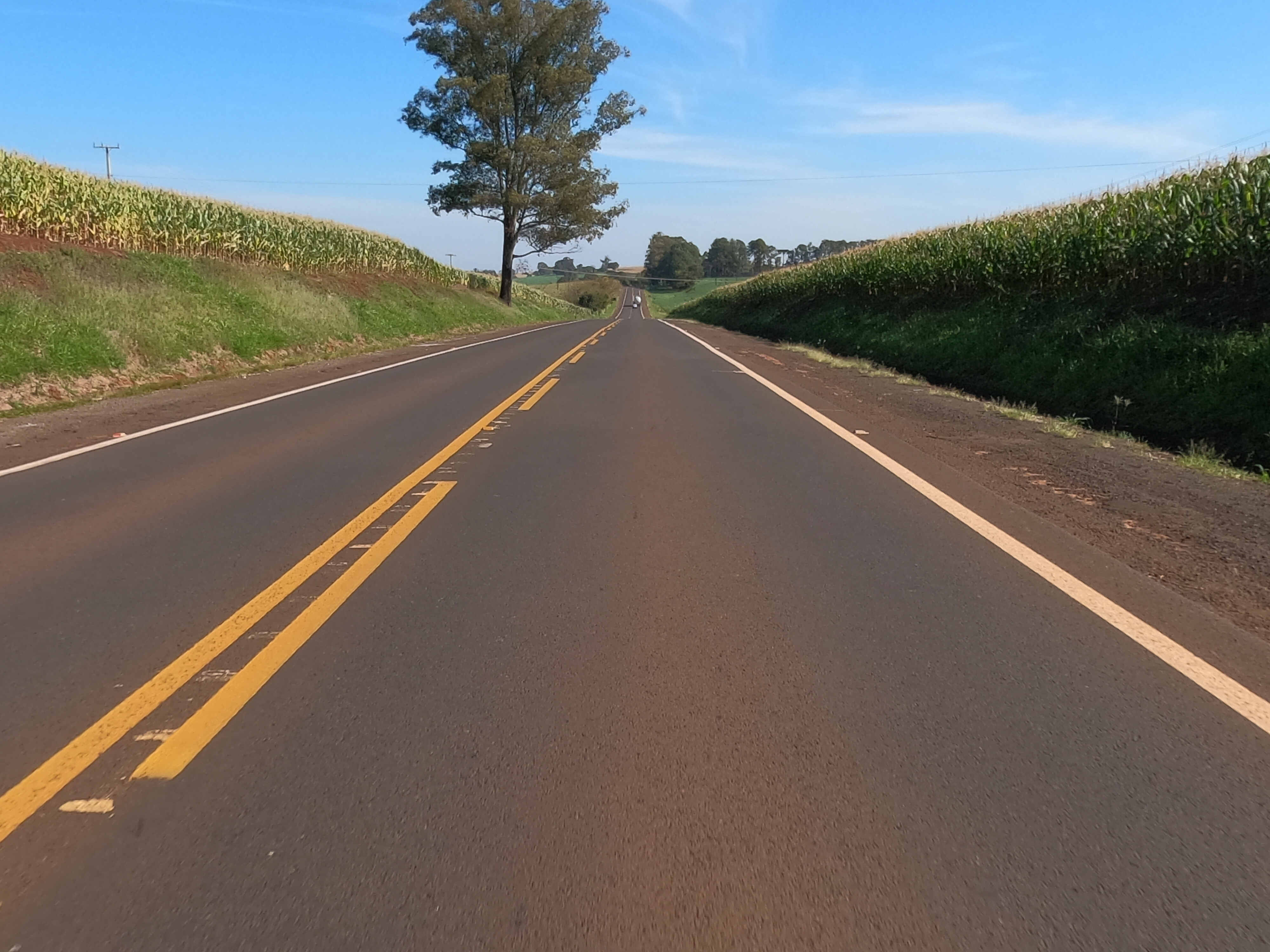 PRC-272 entre Mauá da Serra e Lidianópolis