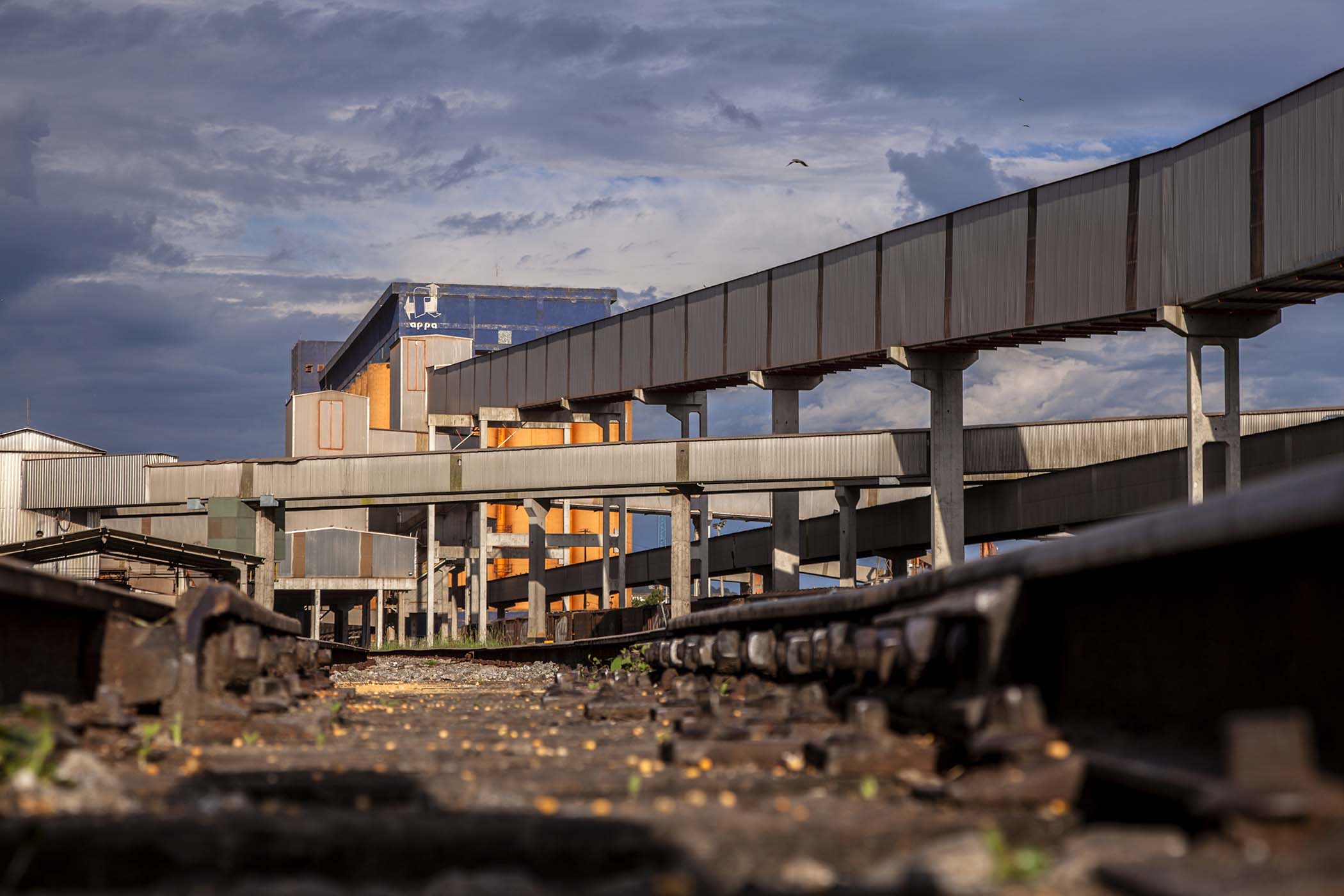 Foto: Claudio Neves/APPA