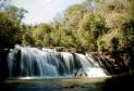 Cachoeira, água verde, mato