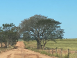 Serviços na PR-478 em Loanda