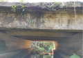 Ponte Rio Cabral PR-340