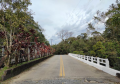 Ponte Rio Mãe Catira PR-410