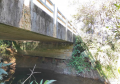Ponte Rio Moratinho PR-405