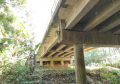 Ponte Rio Trancado PR-405