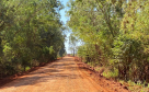 PR-218 em Querência do Norte