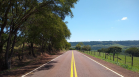 Rodovia com árvores na região Oeste