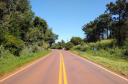 Rodovia com árvores na região Oeste