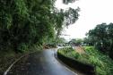 Deslizamento de terra na Estrada da Graciosa