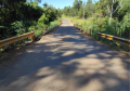 Ponte Rio Branco PR-535