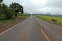 Passa Gado km 519,79 PRC-272 em Francisco Alves