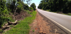 PR-489 entre Umuarama e Xambrê