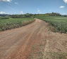Estrada para o distrito de Congonhas início do trecho