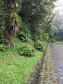 Drenagem da Estrada da Graciosa 16.02.23