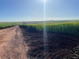 Pavimentação PR-239 entre Toledo e Bragantina