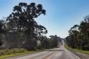 BR-373, entre Ponta Grossa e Prudentópolis