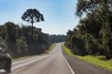 BR-373, entre Ponta Grossa e Prudentópolis