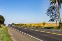 BR-373, entre Ponta Grossa e Prudentópolis