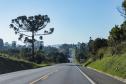 BR-373, entre Ponta Grossa e Prudentópolis