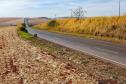 BR-369 em Cambará