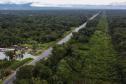 PR-407 entre Paranaguá e Pontal do Paraná