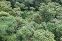 Estrada da Graciosa (PR-410), imagens de drone