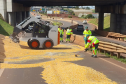 Operação rodoviária - limpeza de pista