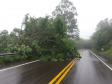PR-170 em Pinhão