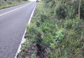 PR-170 ponto 04 km 478,841