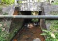 Pontes em rodovias estaduais