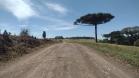 PR-459 entre Clevelândia e Mangueirinha, trecho não-pavimentado