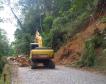 Estrada da Graciosa: retirada de raízes de árvores caídas