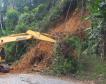 Estrada da Graciosa: retirada de raízes de árvores caídas