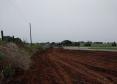 PR-170 conservação da faixa de domínio entre Guarapuava e Pinhão