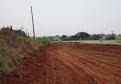 PR-170 conservação da faixa de domínio entre Guarapuava e Pinhão